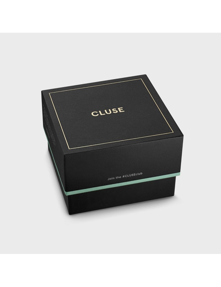 Montre Cluse CW20810 Homme - Élégance & Style | Montres & Vous