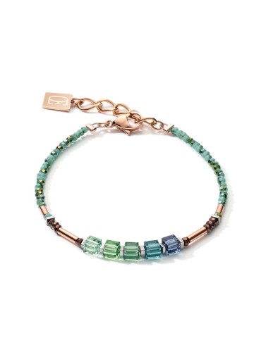 Bracelet Coeur de Lion en Acier Rose et Cristaux Multicolores 5027/30-0537