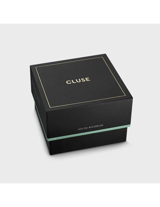 Montre Cluse CW25603 Aravis Dual Timer Homme Acier Argenté – Élégance et double fuseau horaire